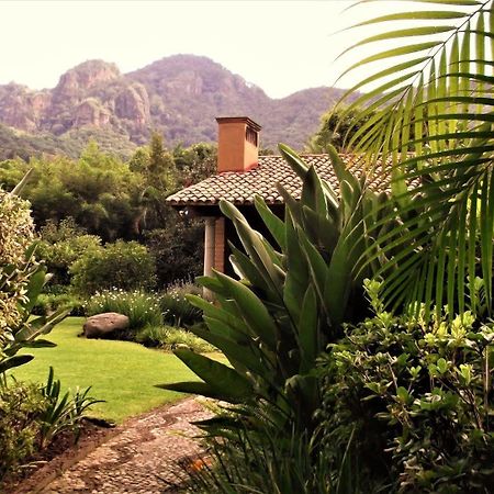 Arete (Adults Only) Tepoztlán Exterior foto