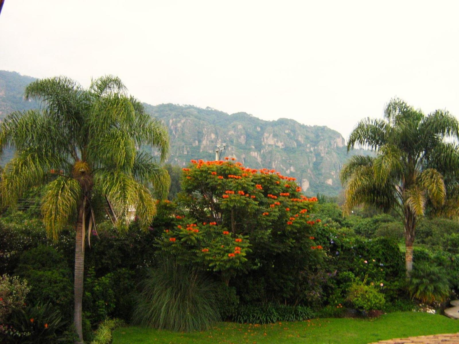 Arete (Adults Only) Tepoztlán Exterior foto